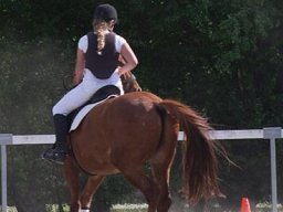 img-00761-549